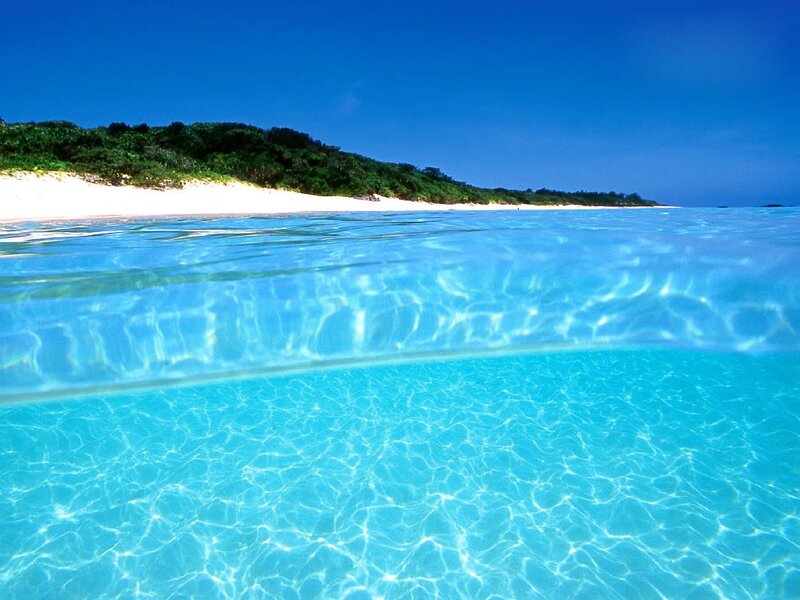 tropical beach with clear water