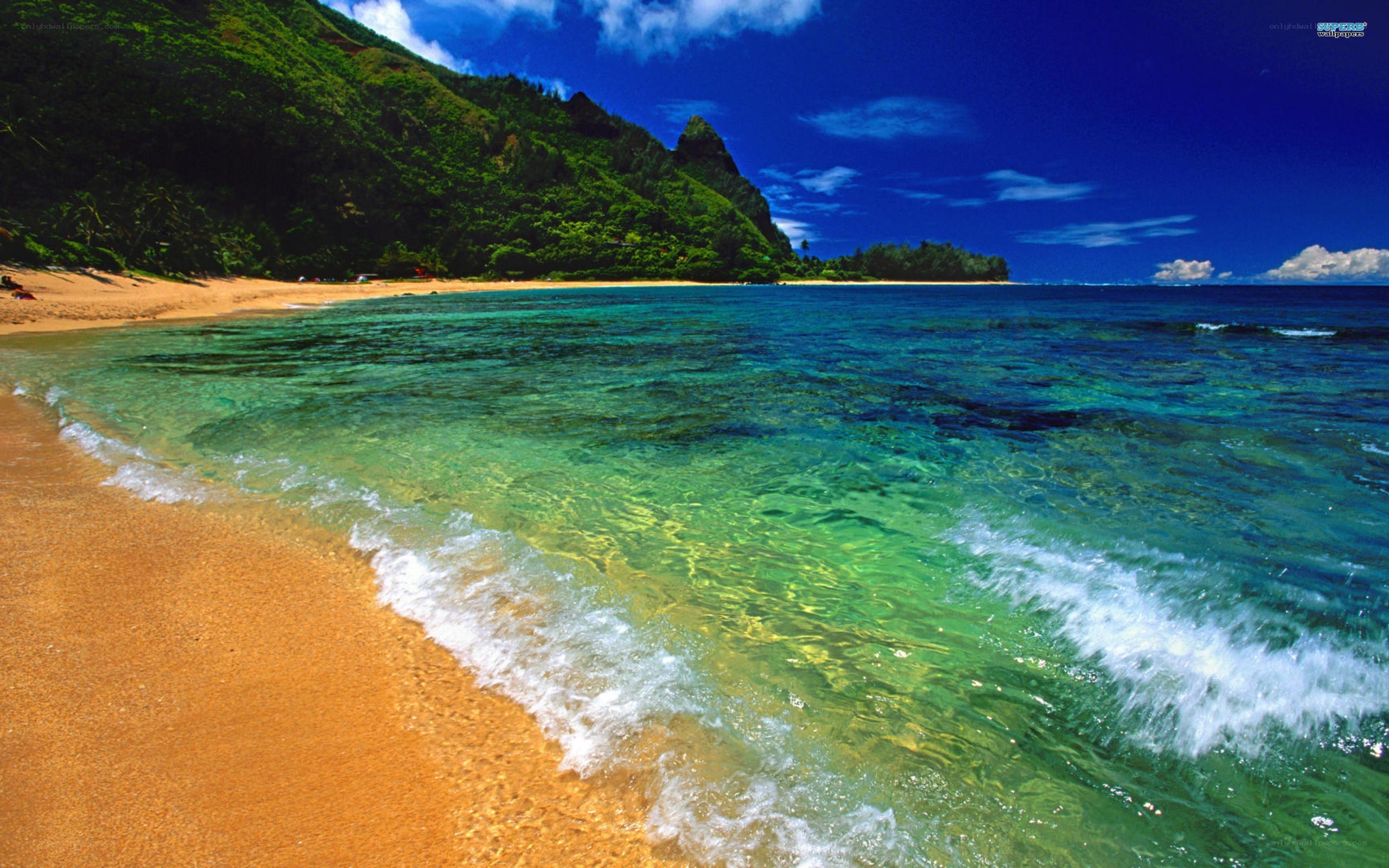 tropical beach with clear water