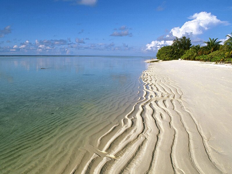 tropical beach with clear water