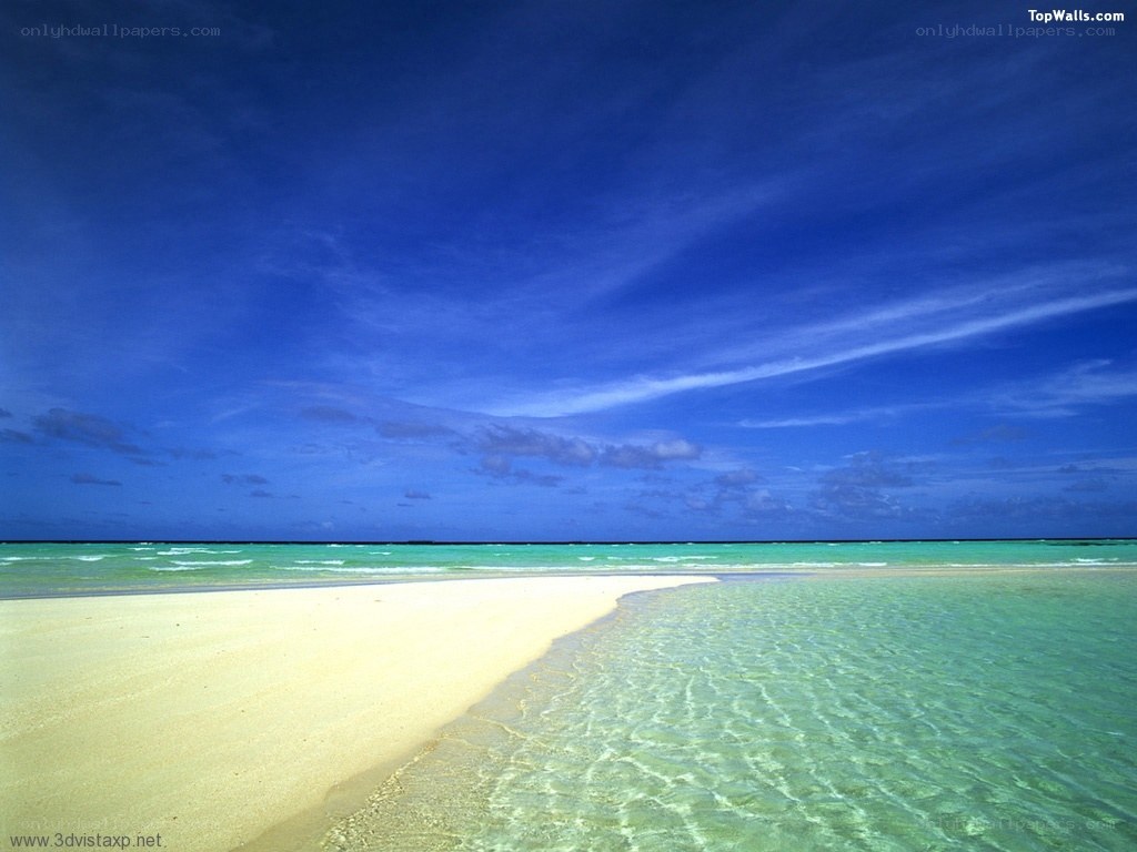 tropical beach with clear water