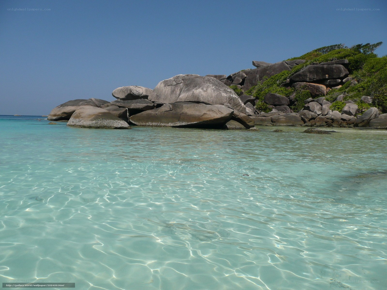 tropical beach with clear water