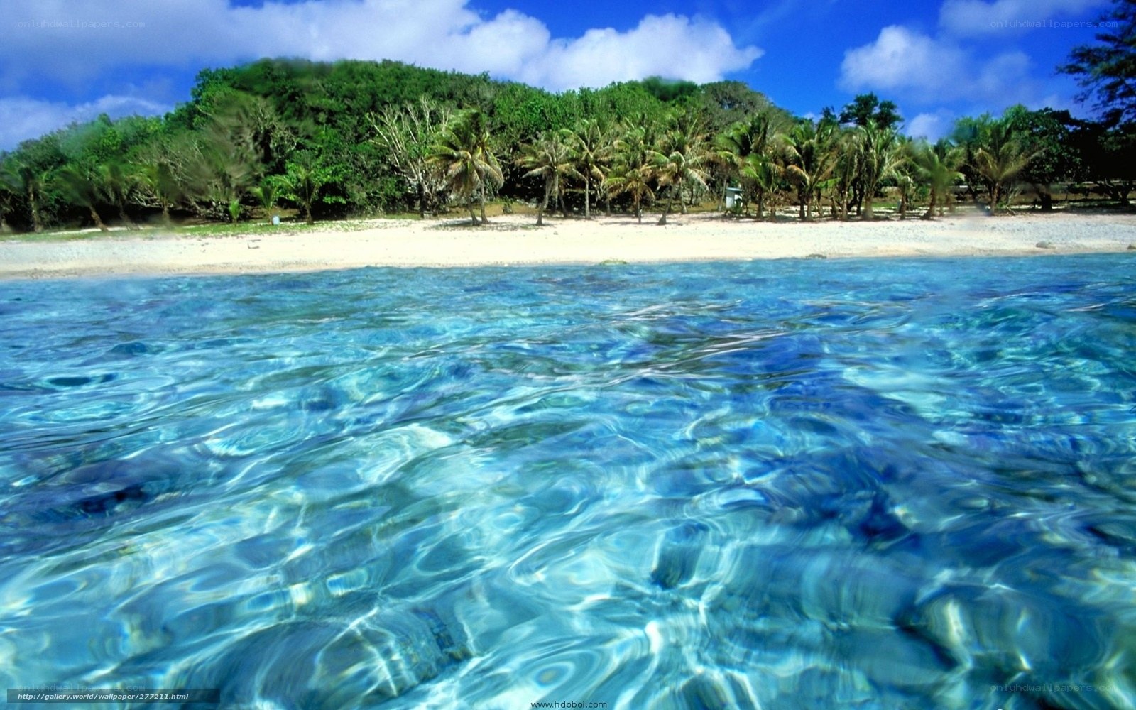 tropical beach with clear water