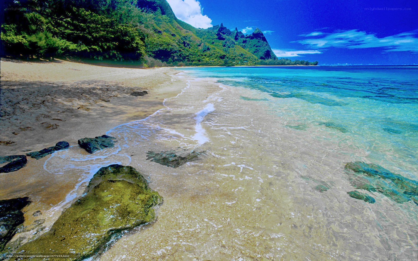 tropical beach with clear water
