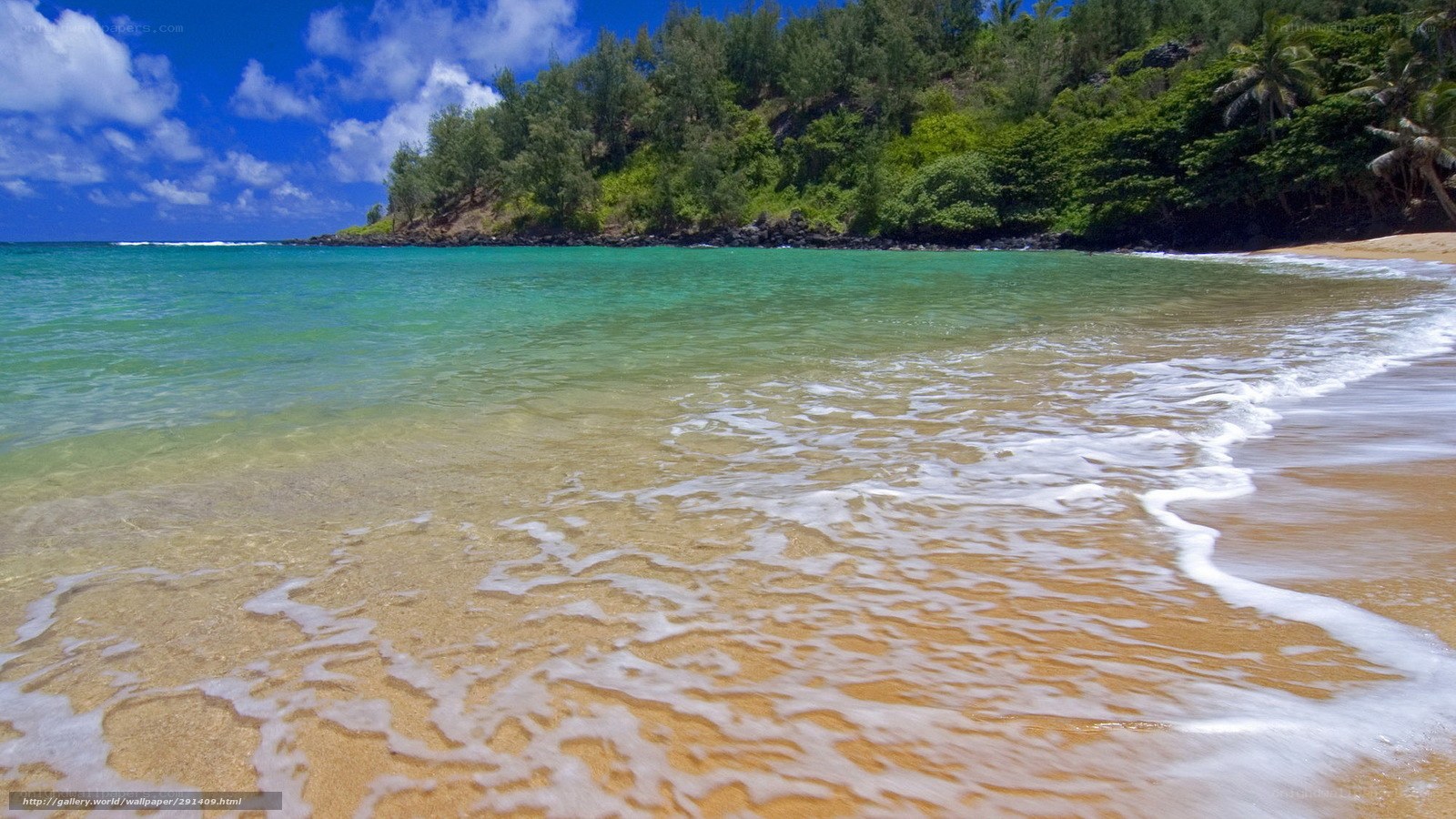 tropical beach with clear water