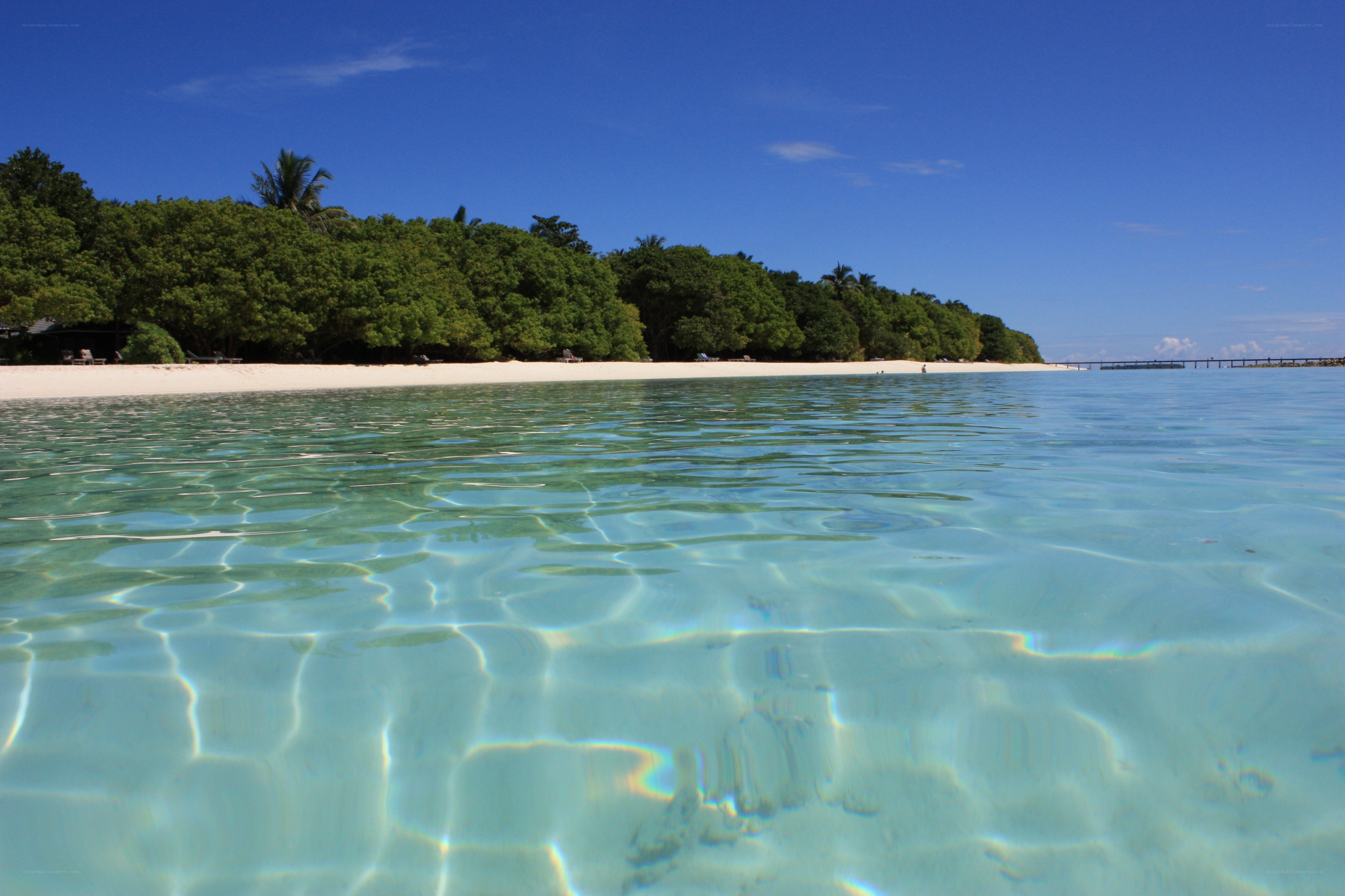 tropical beach with clear water