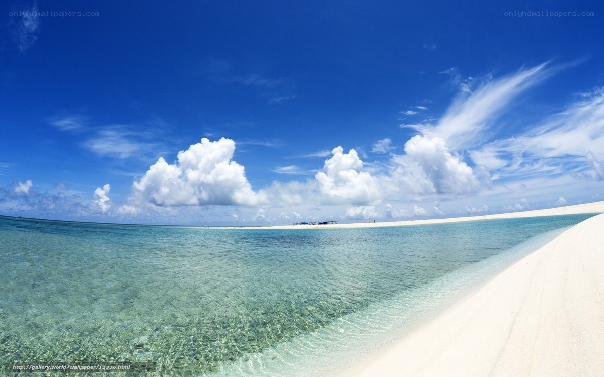 tropical beach with clear water