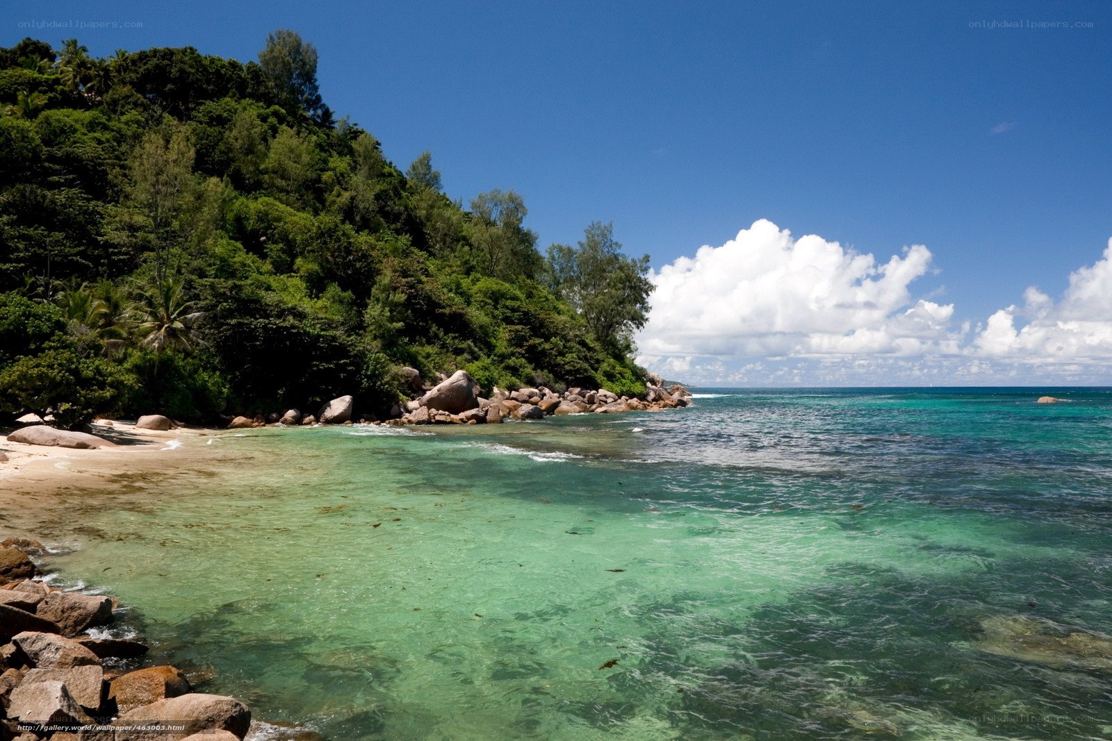 tropical beach with clear water
