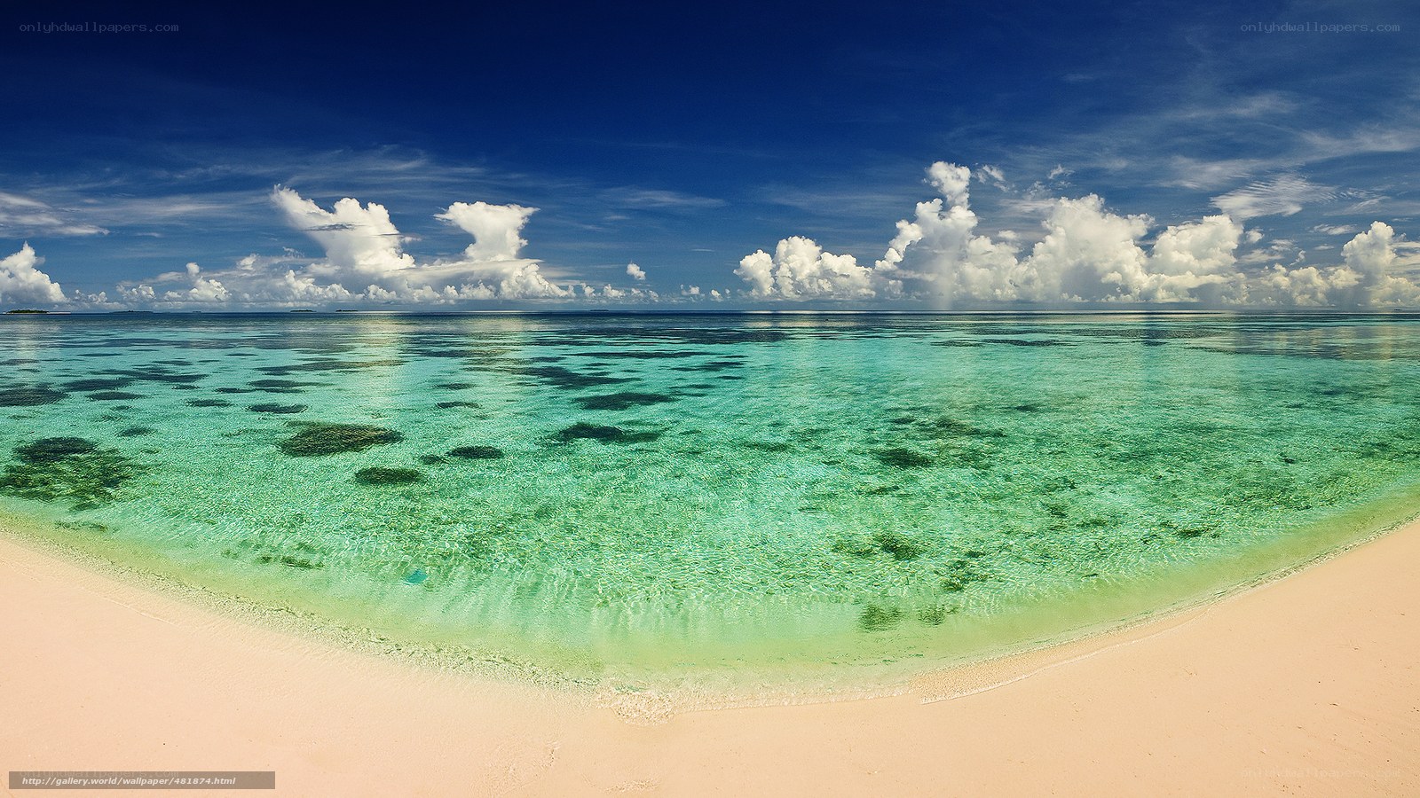 tropical beach with clear water