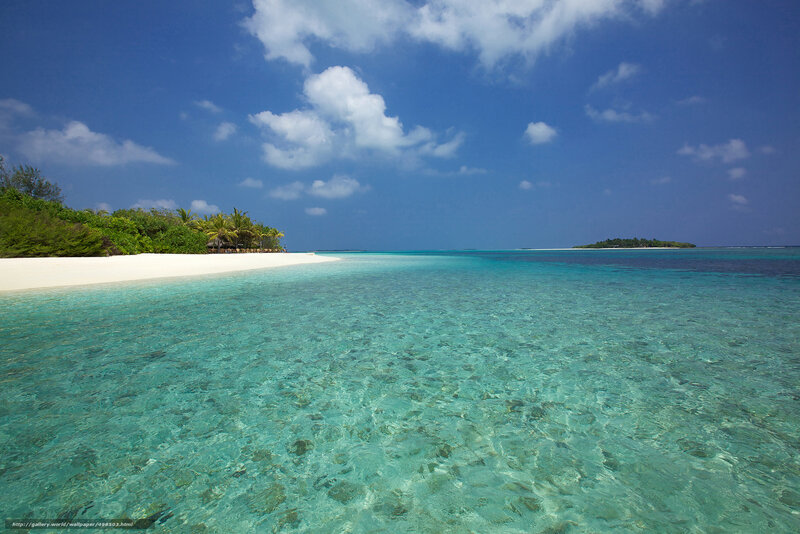 tropical beach with clear water
