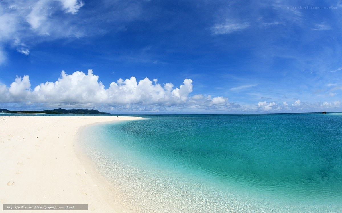 tropical beach with clear water