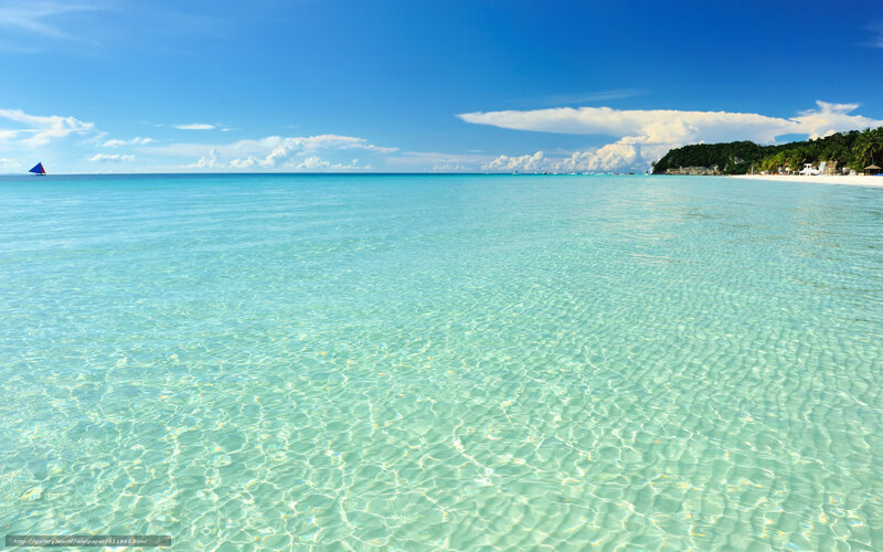 tropical beach with clear water