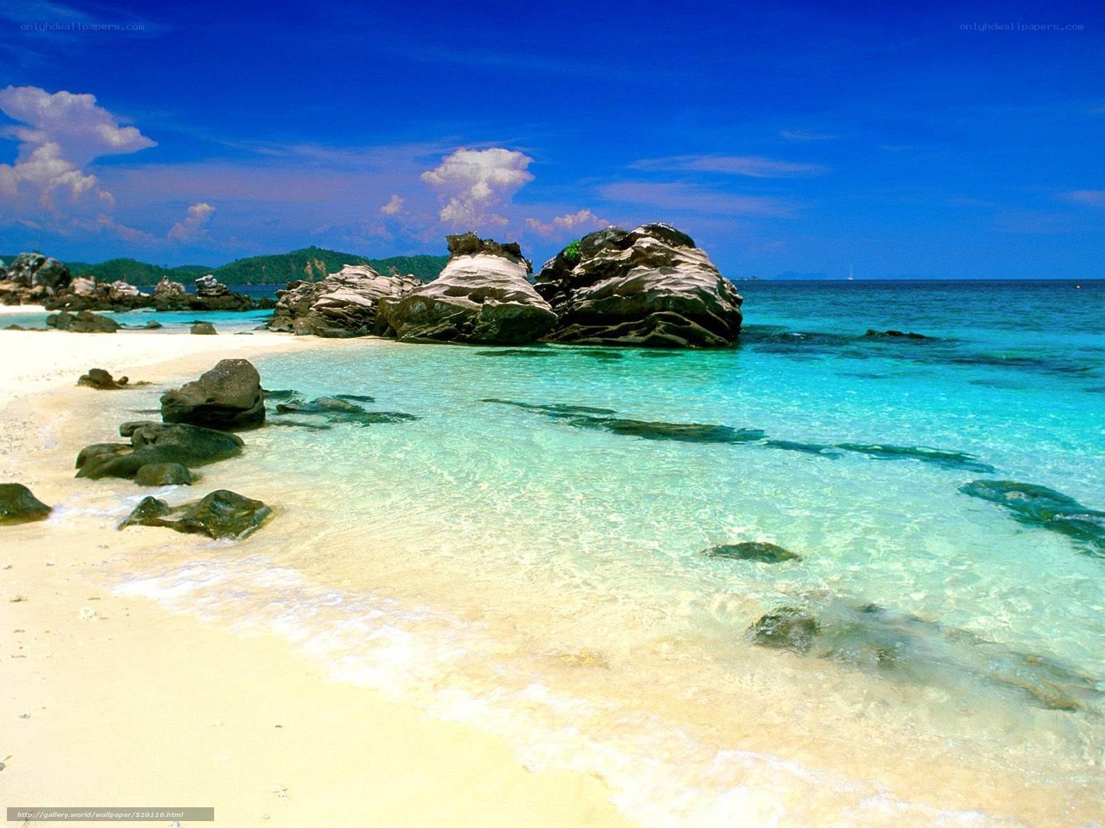 tropical beach with clear water