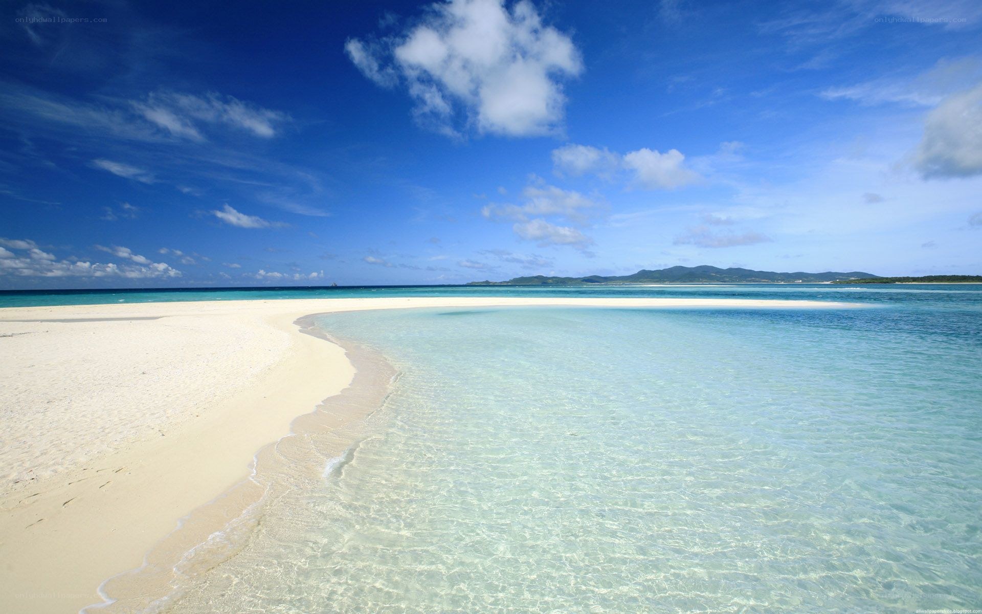tropical beach with clear water
