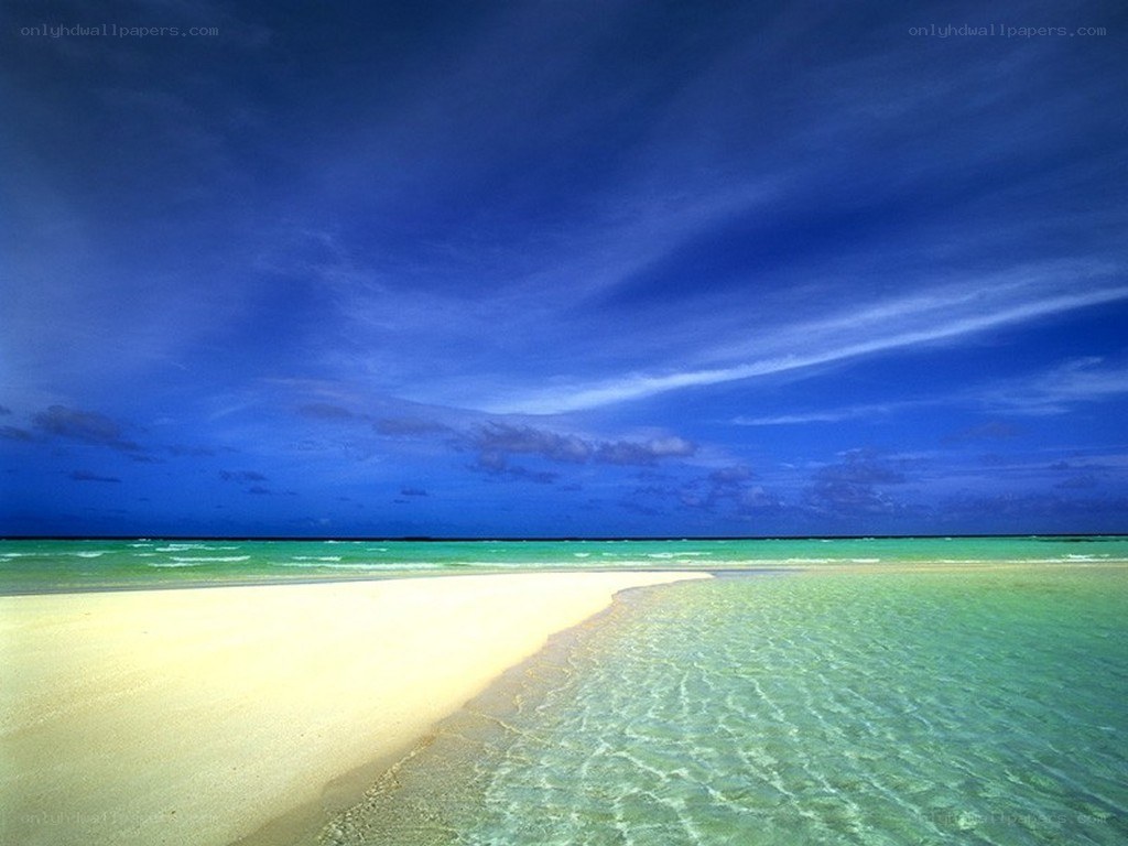 tropical beach with clear water