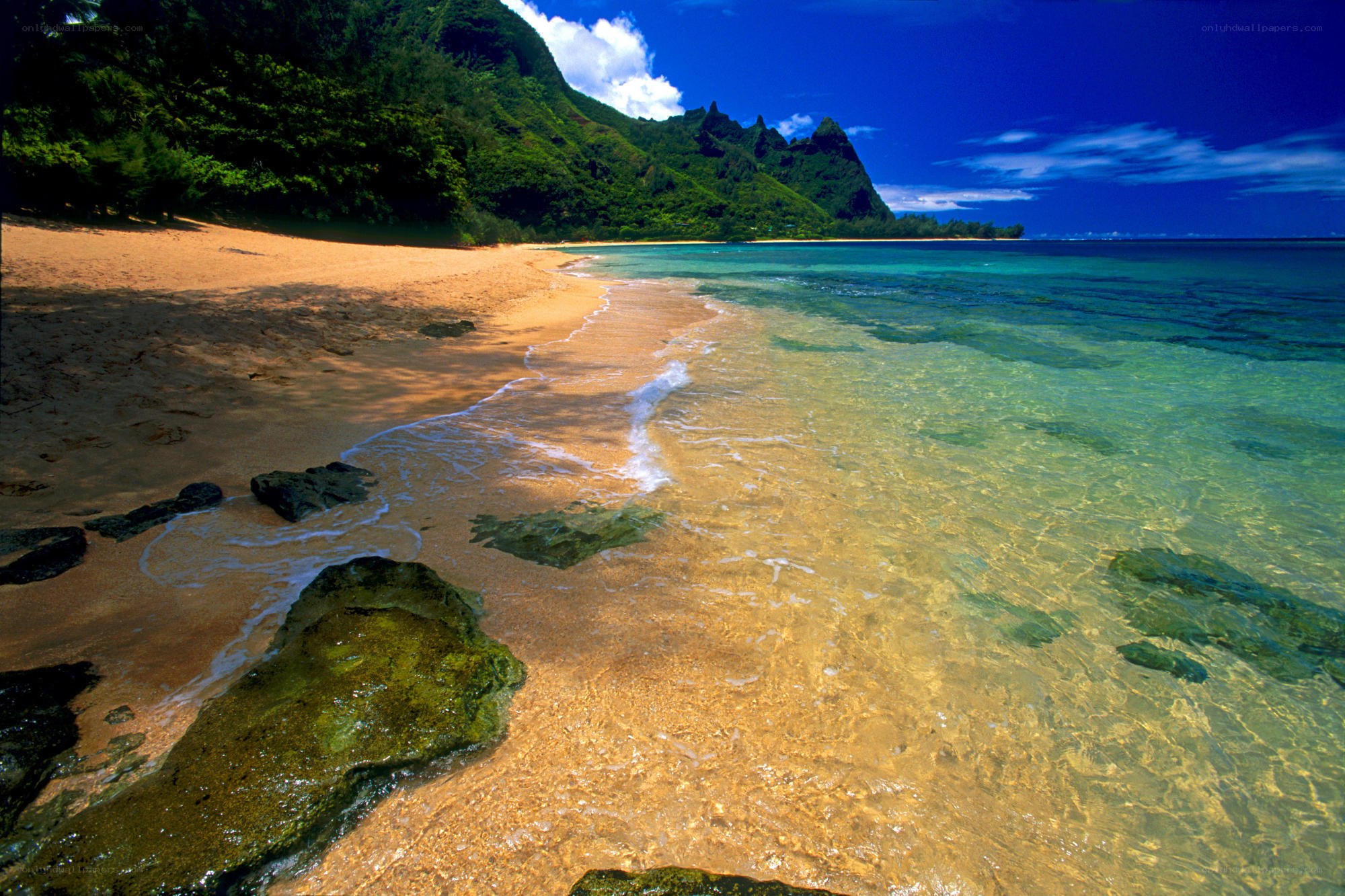 tropical beach with clear water