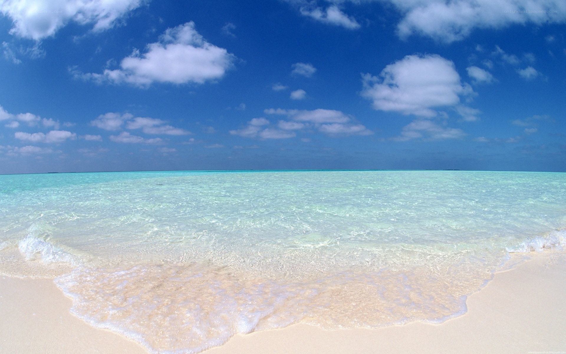 tropical beach with clear water