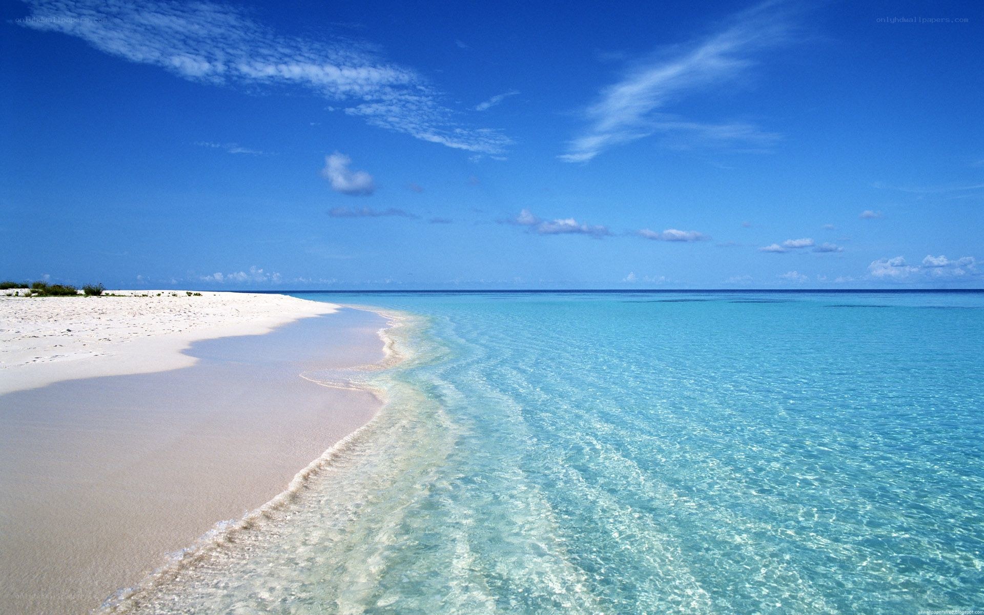tropical beach with clear water