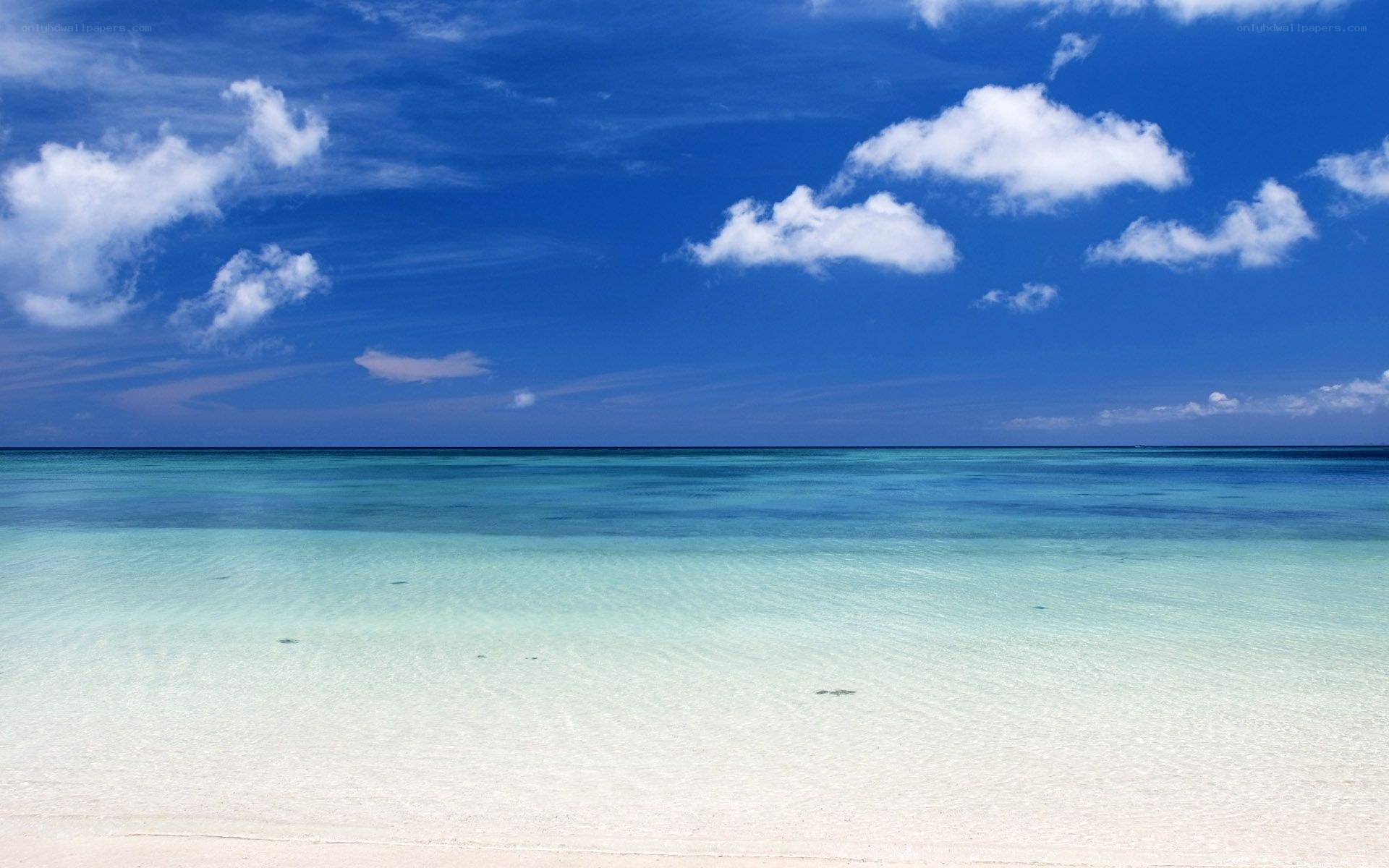 tropical beach with clear water