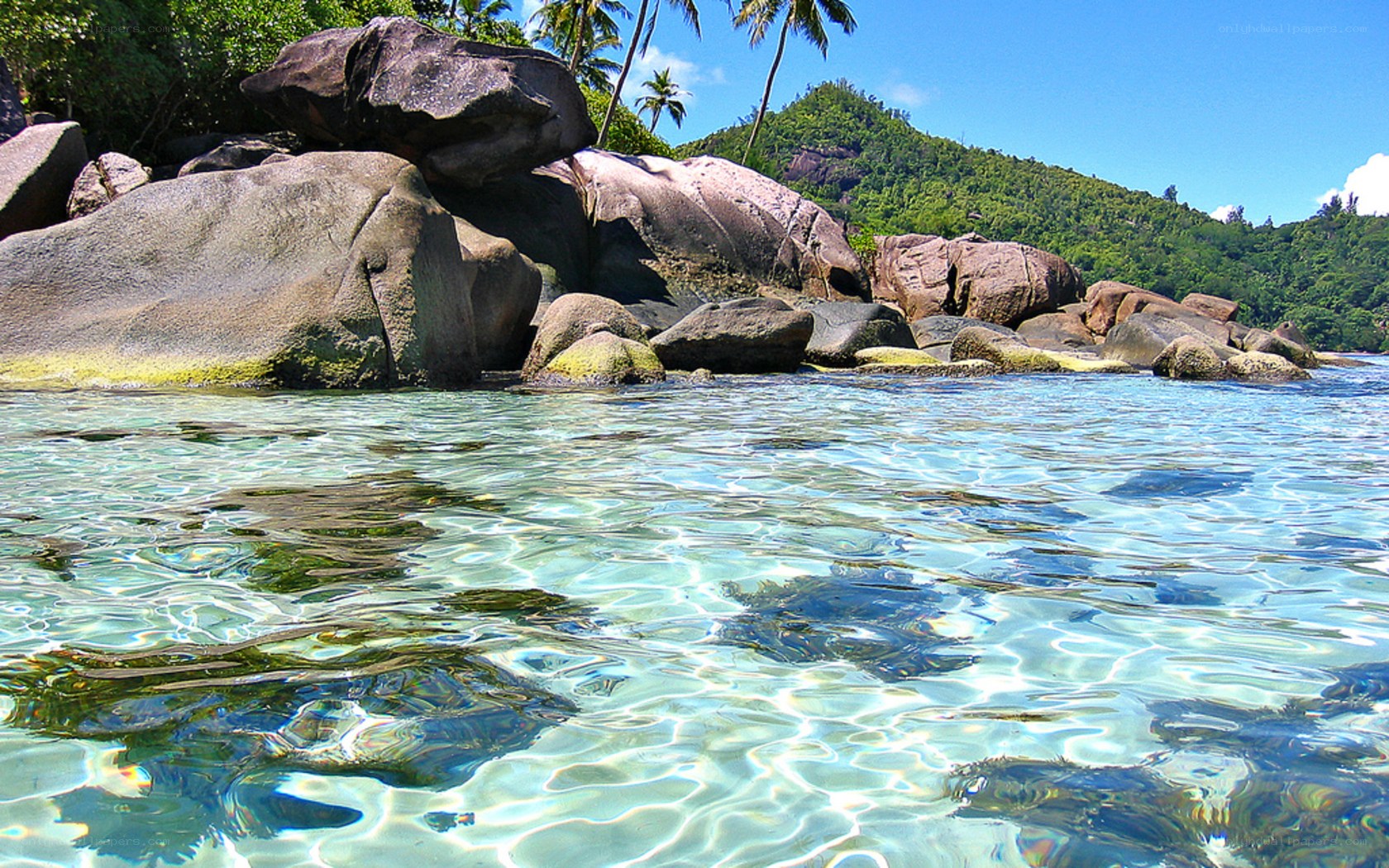 tropical beach with clear water