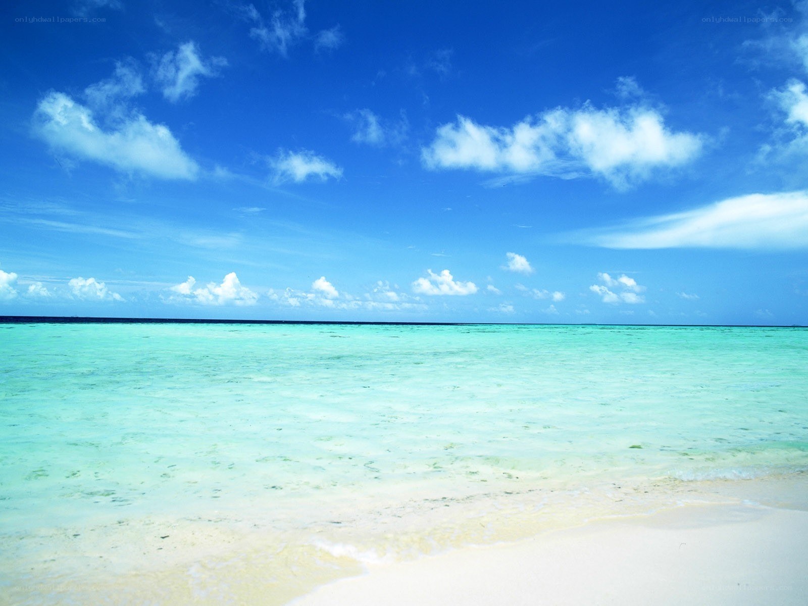 tropical beach with clear water
