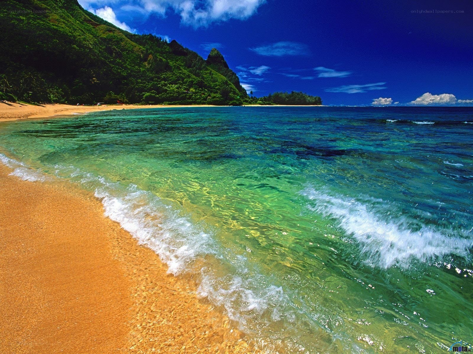 tropical beach with clear water