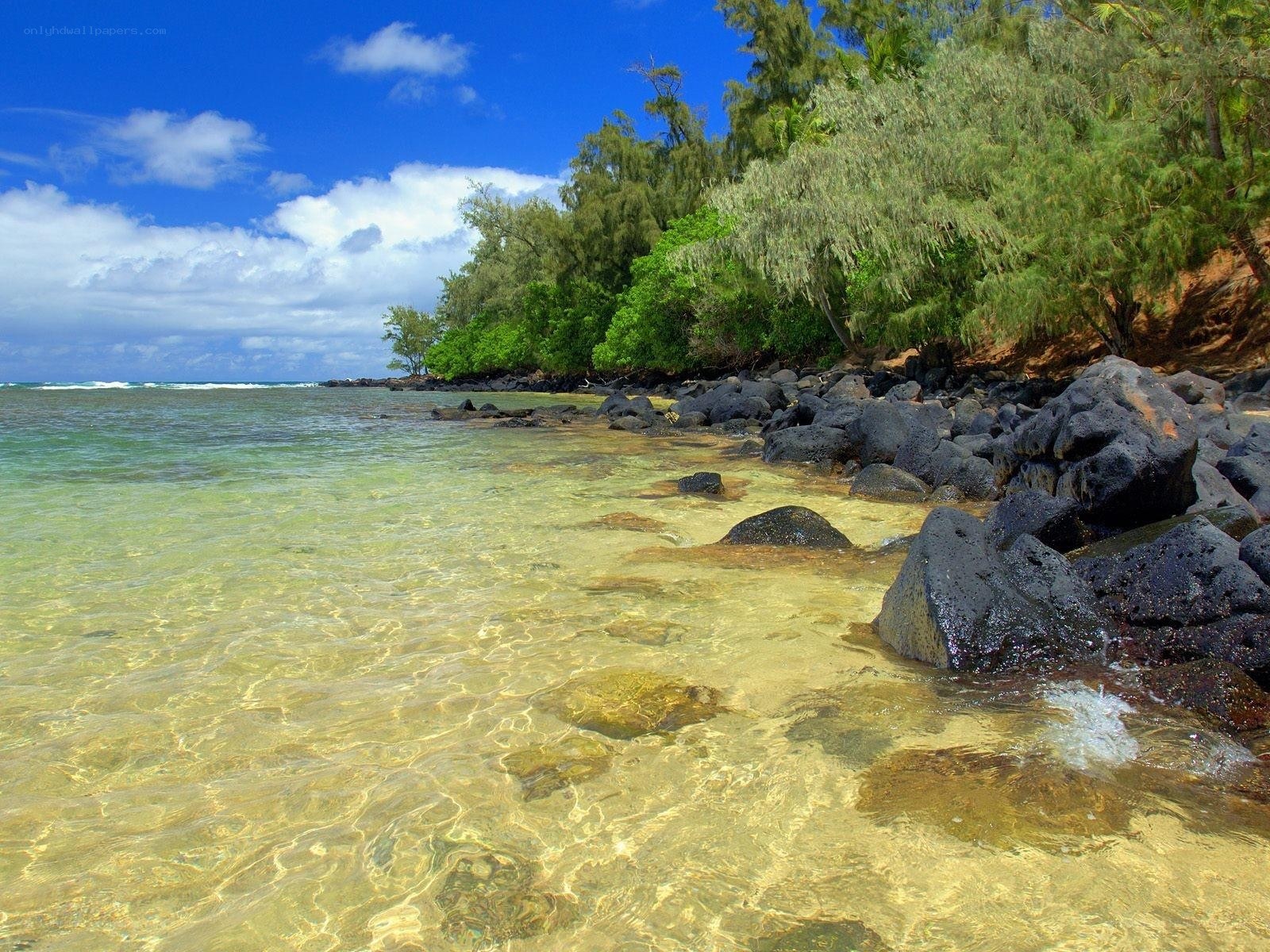tropical beach with clear water
