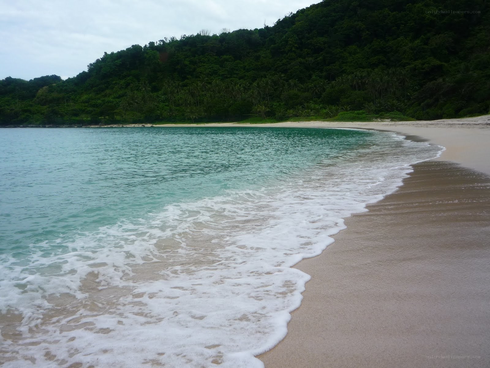 tropical beach with clear water