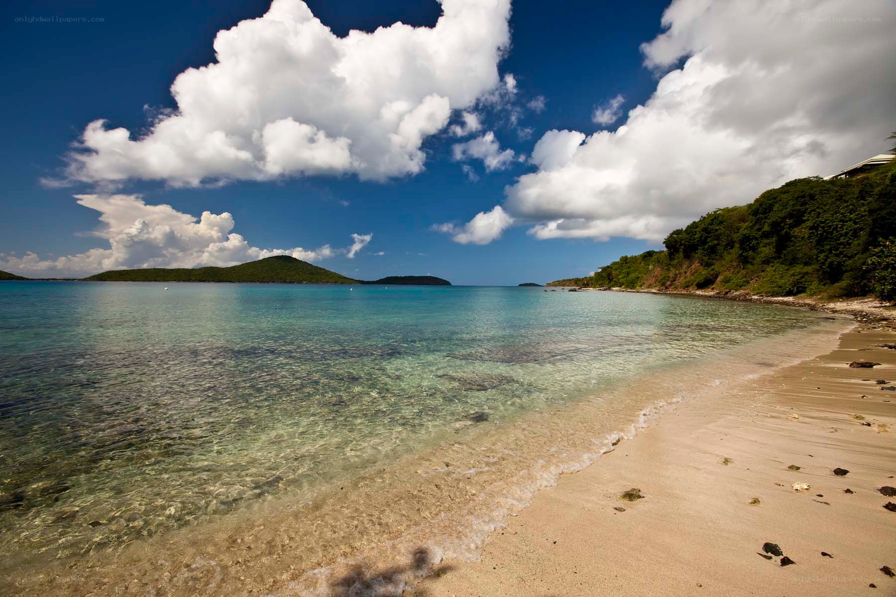 tropical beach with clear water