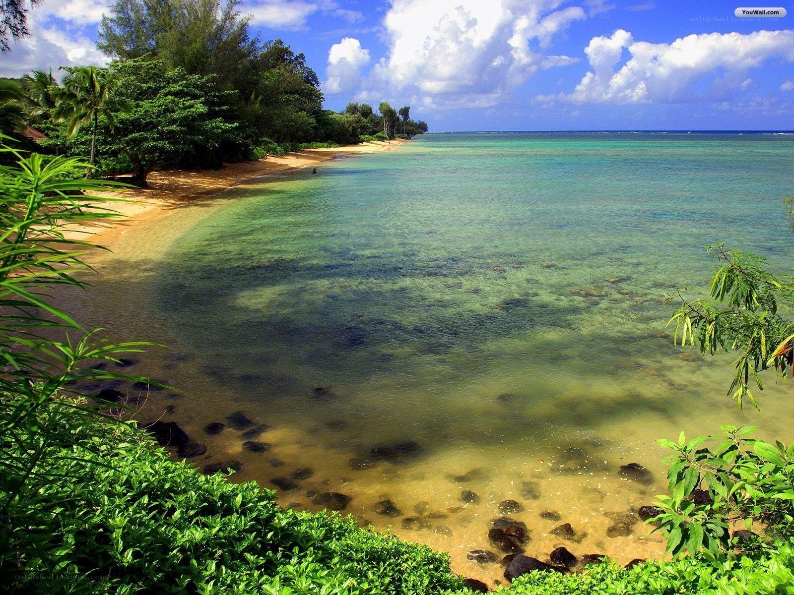tropical beach with clear water