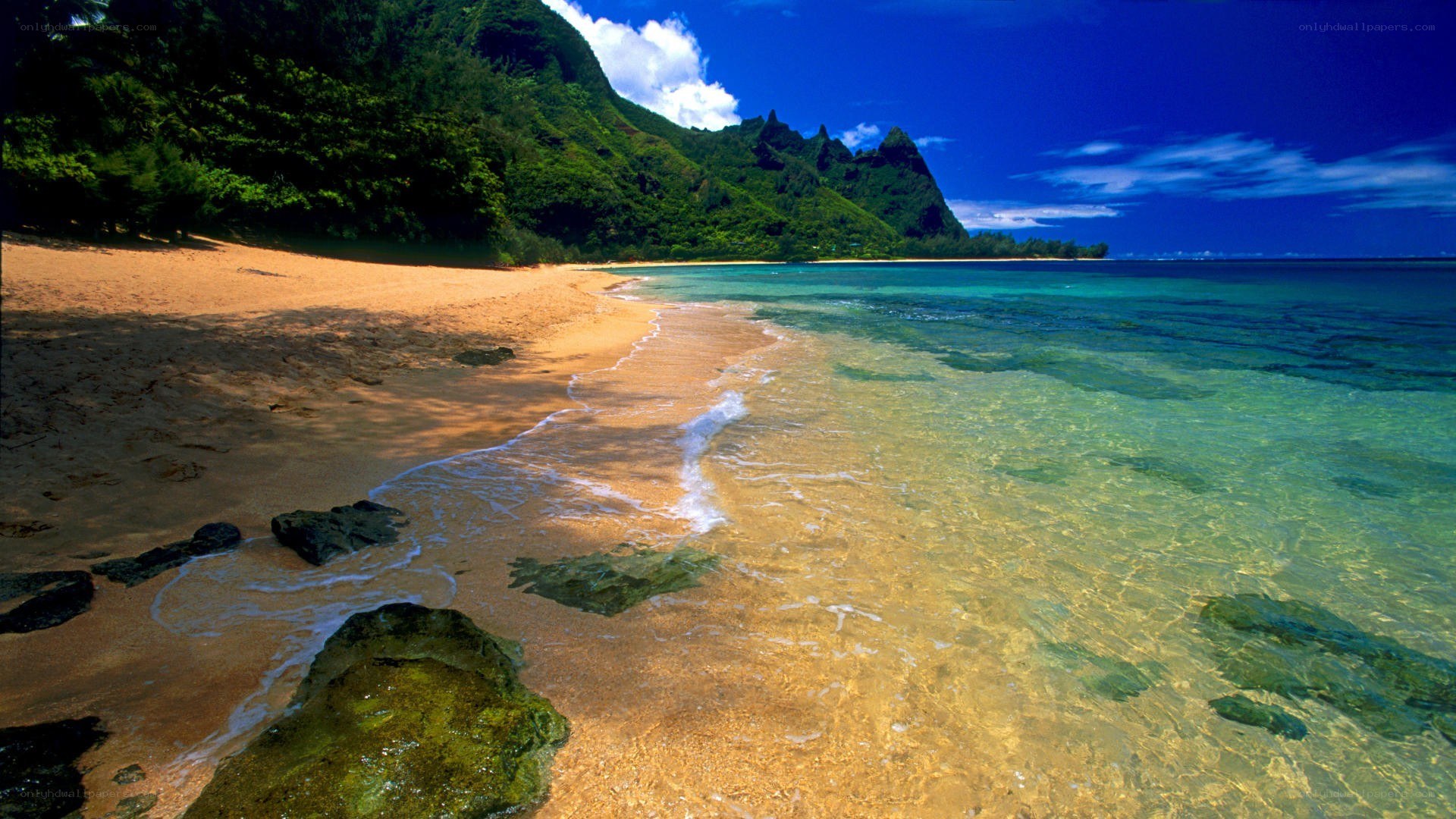 tropical beach with clear water