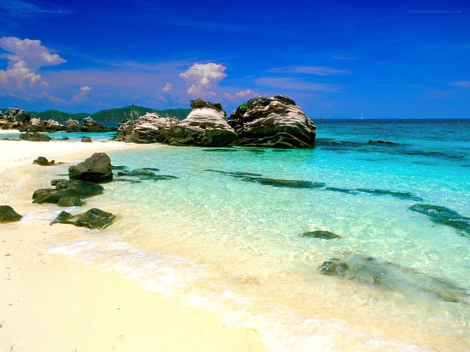 tropical beach with clear water