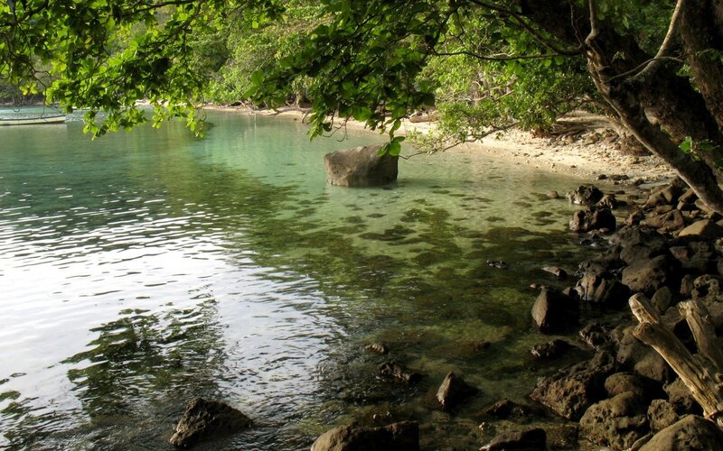 tropical beach with clear water