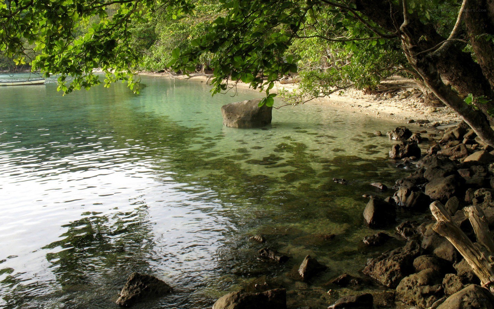 tropical beach with clear water