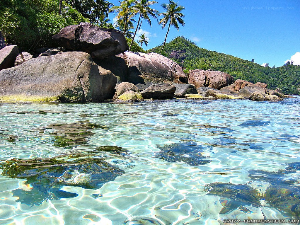 tropical beach with clear water