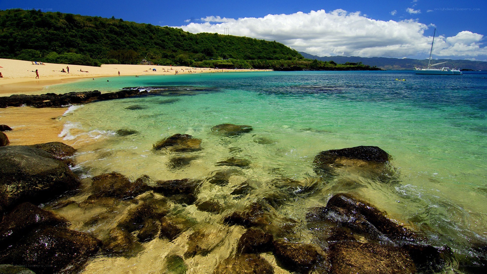tropical beach with clear water
