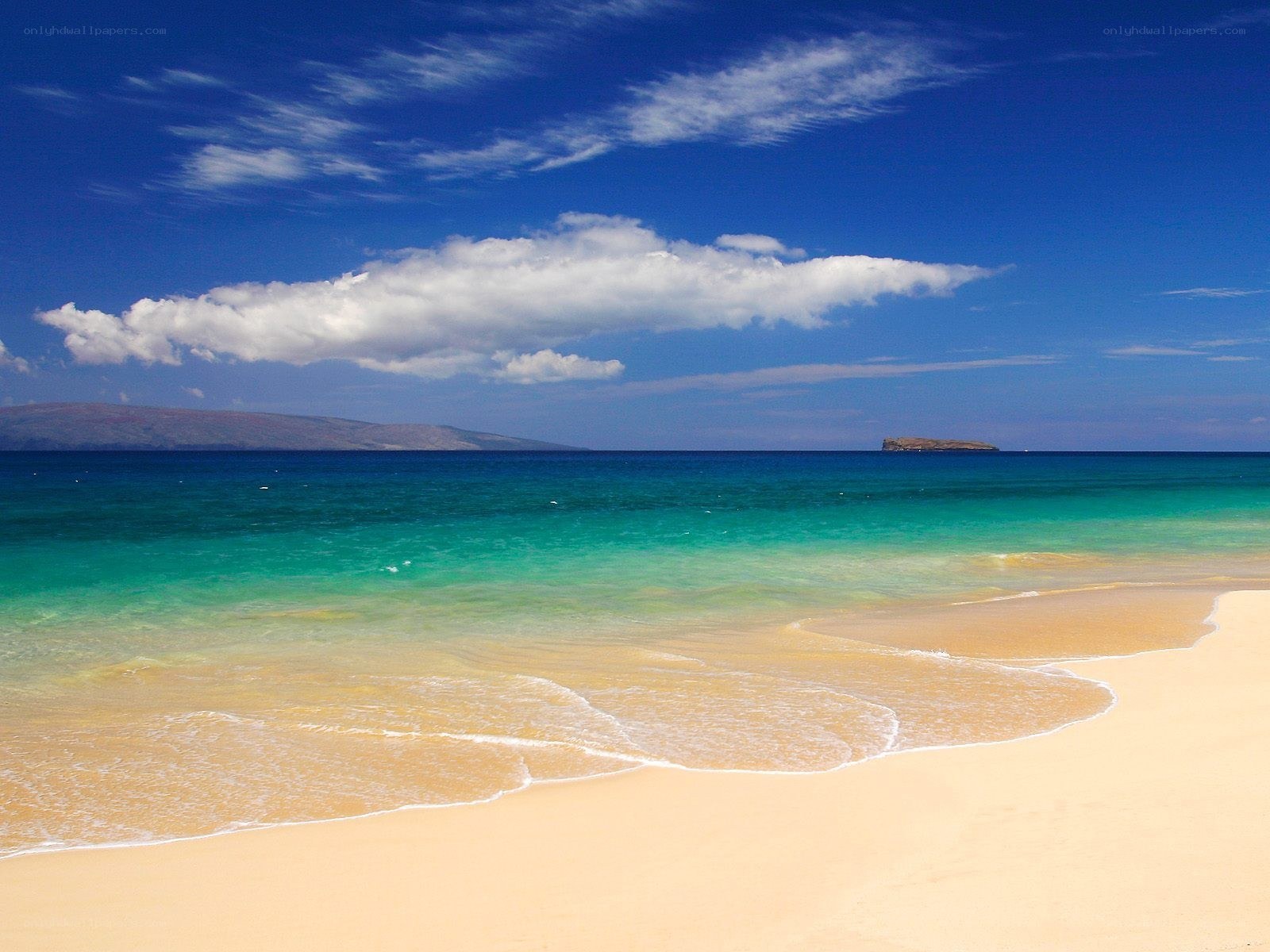 tropical beach with clear water