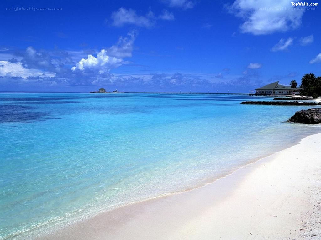 tropical beach with clear water
