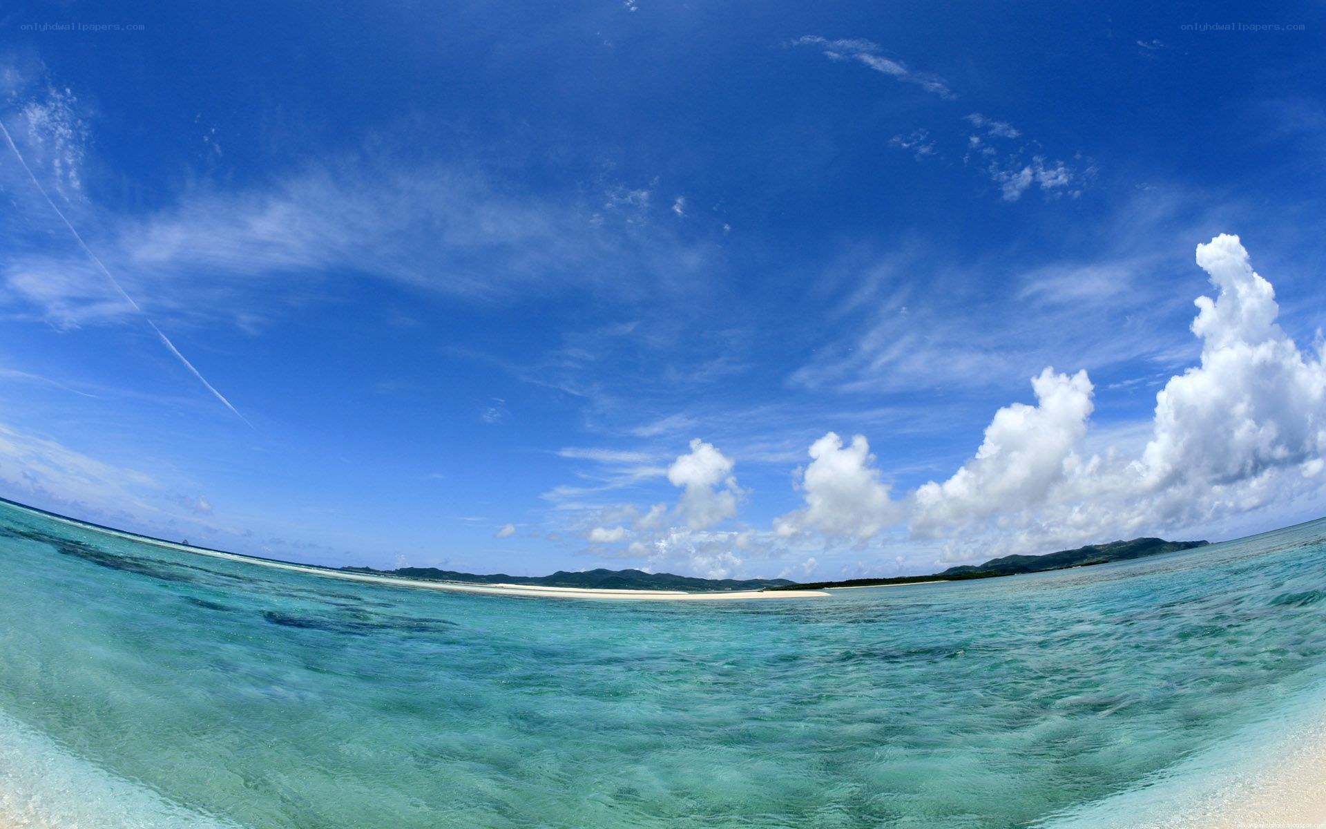 tropical beach with clear water