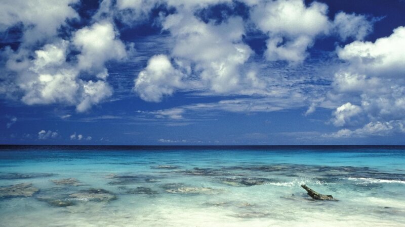 tropical beach with clear water