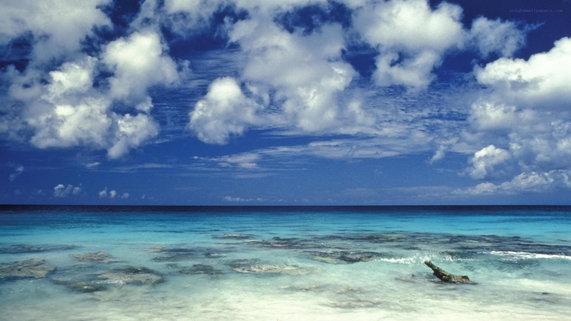 tropical beach with clear water