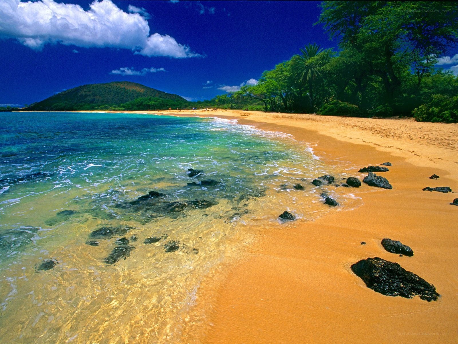 tropical beach with clear water