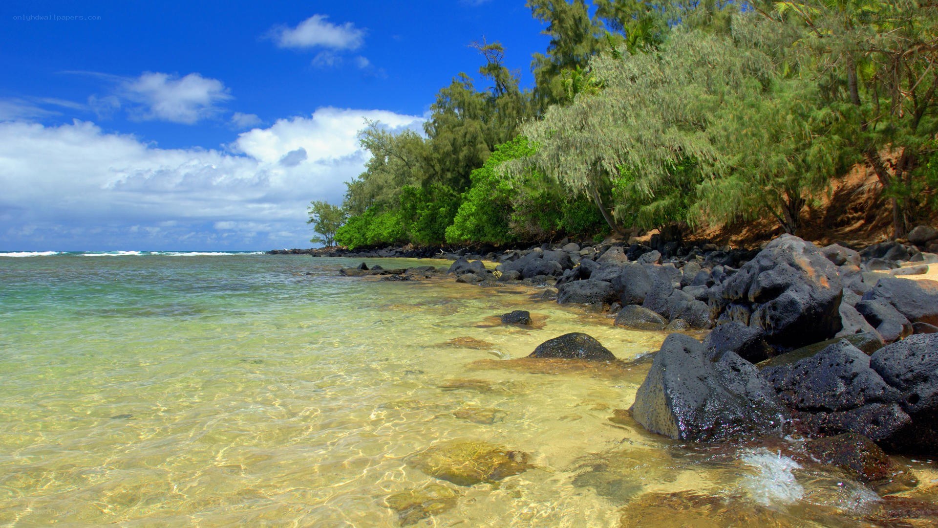 tropical beach with clear water