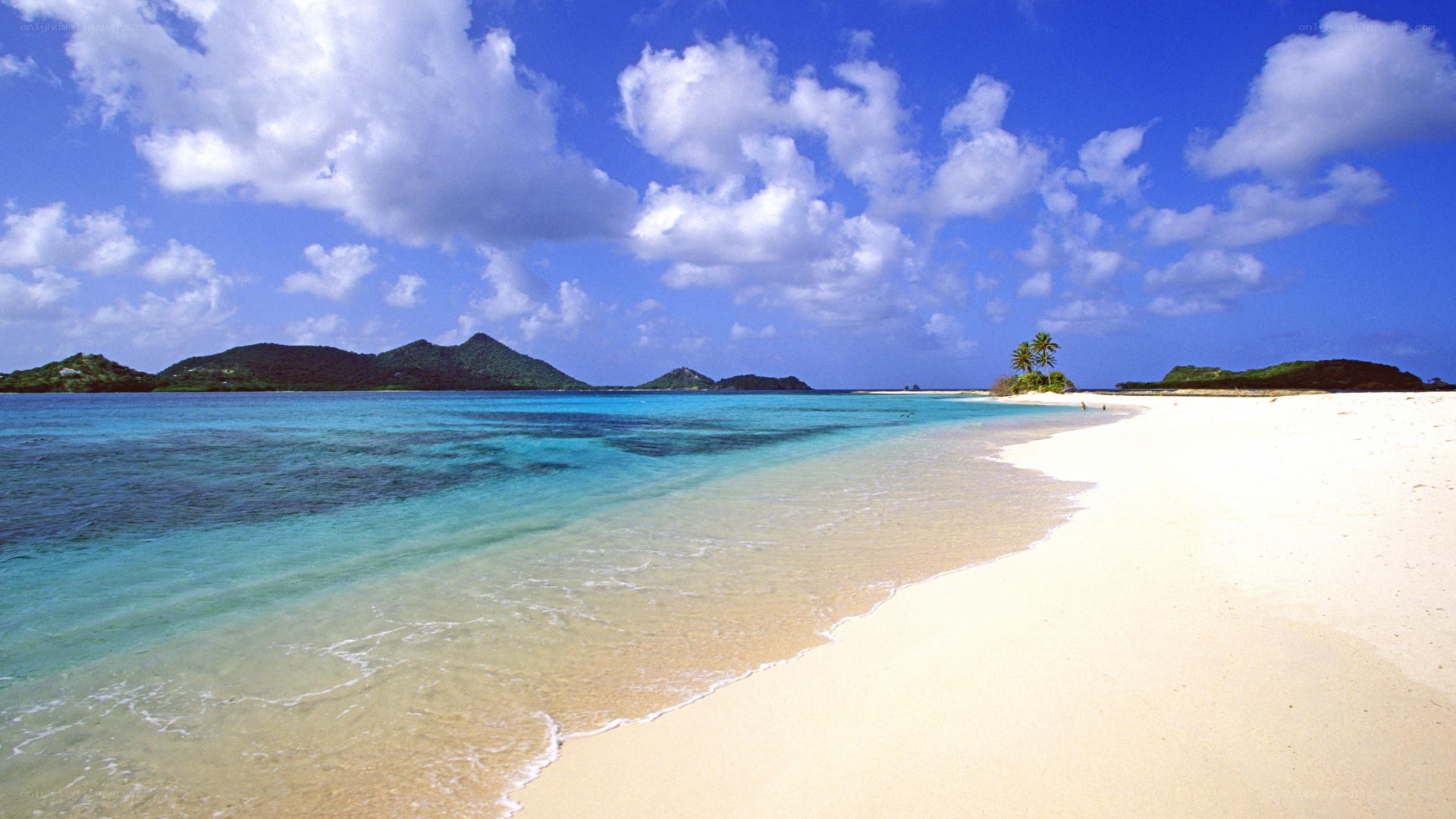 tropical beach with clear water