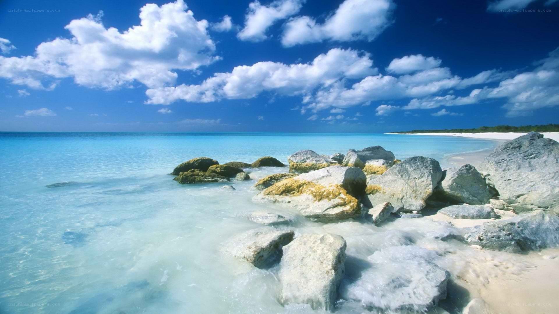 tropical beach with clear water
