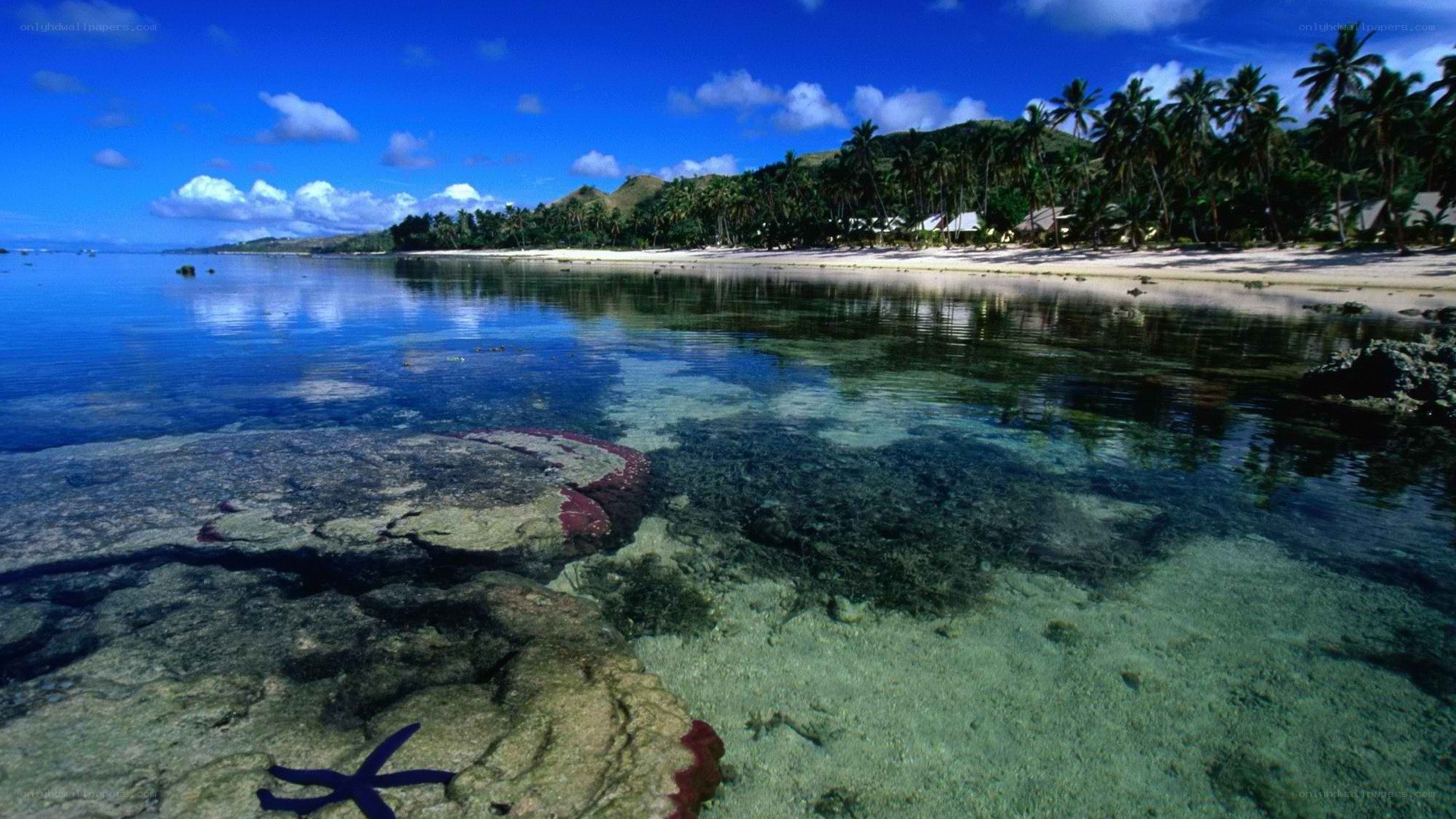 tropical beach with clear water