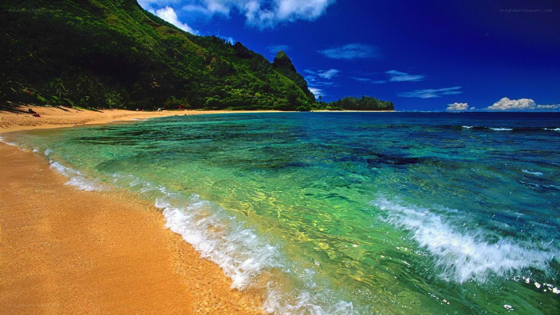 tropical beach with clear water