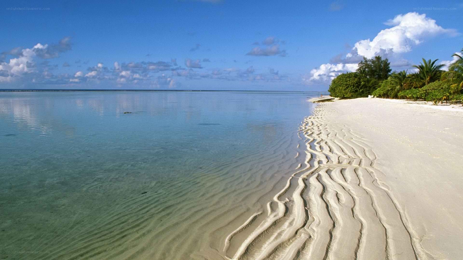 tropical beach with clear water