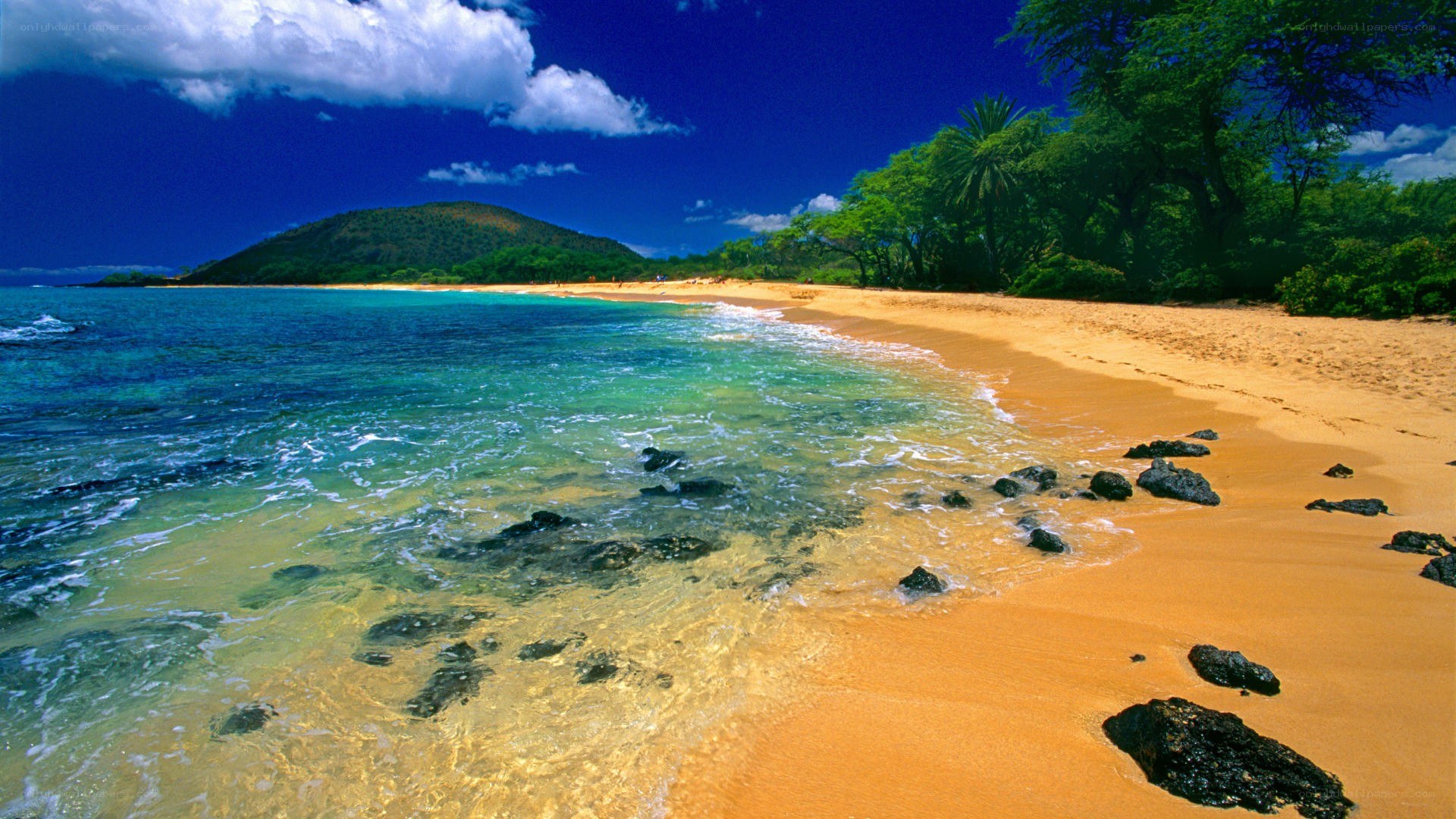 tropical beach with clear water