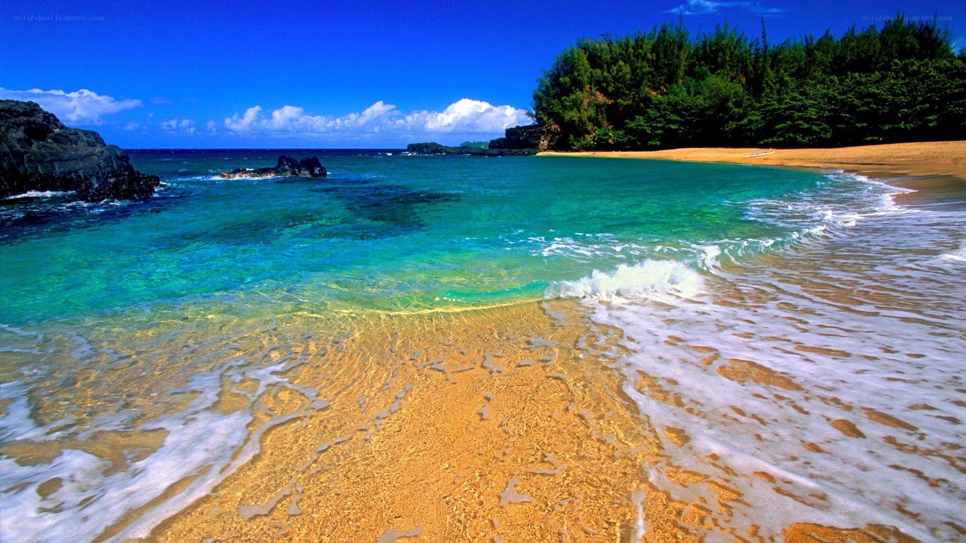 tropical beach with clear water
