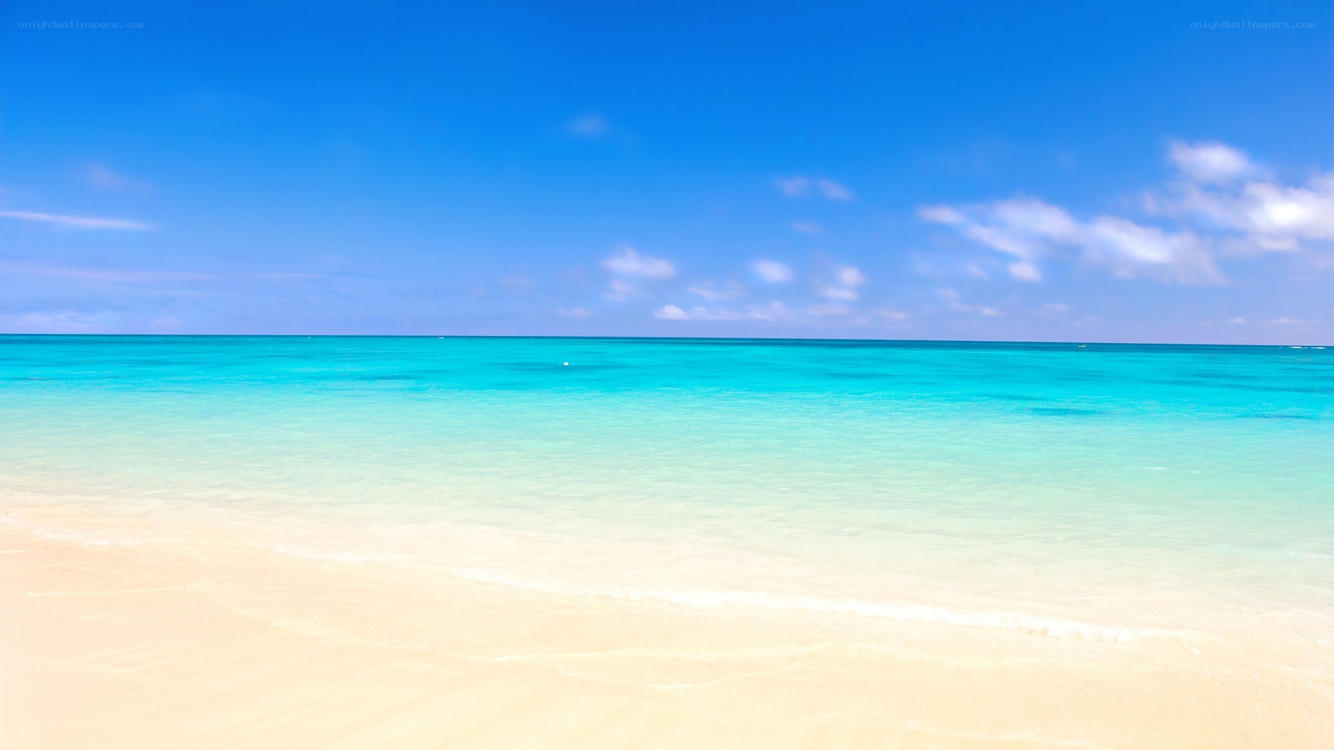 tropical beach with clear water